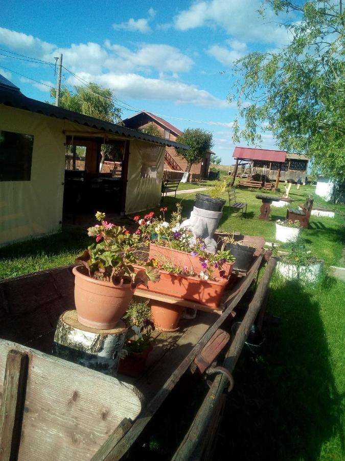 Pensiunea ,,La Struti" Târgu Neamţ Exterior foto