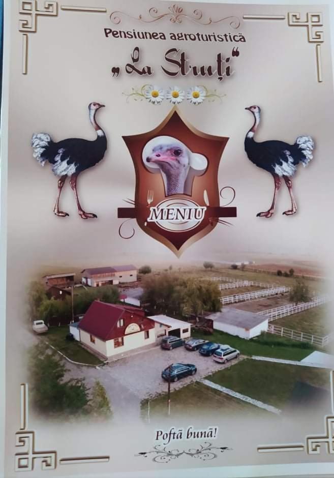 Pensiunea ,,La Struti" Târgu Neamţ Exterior foto
